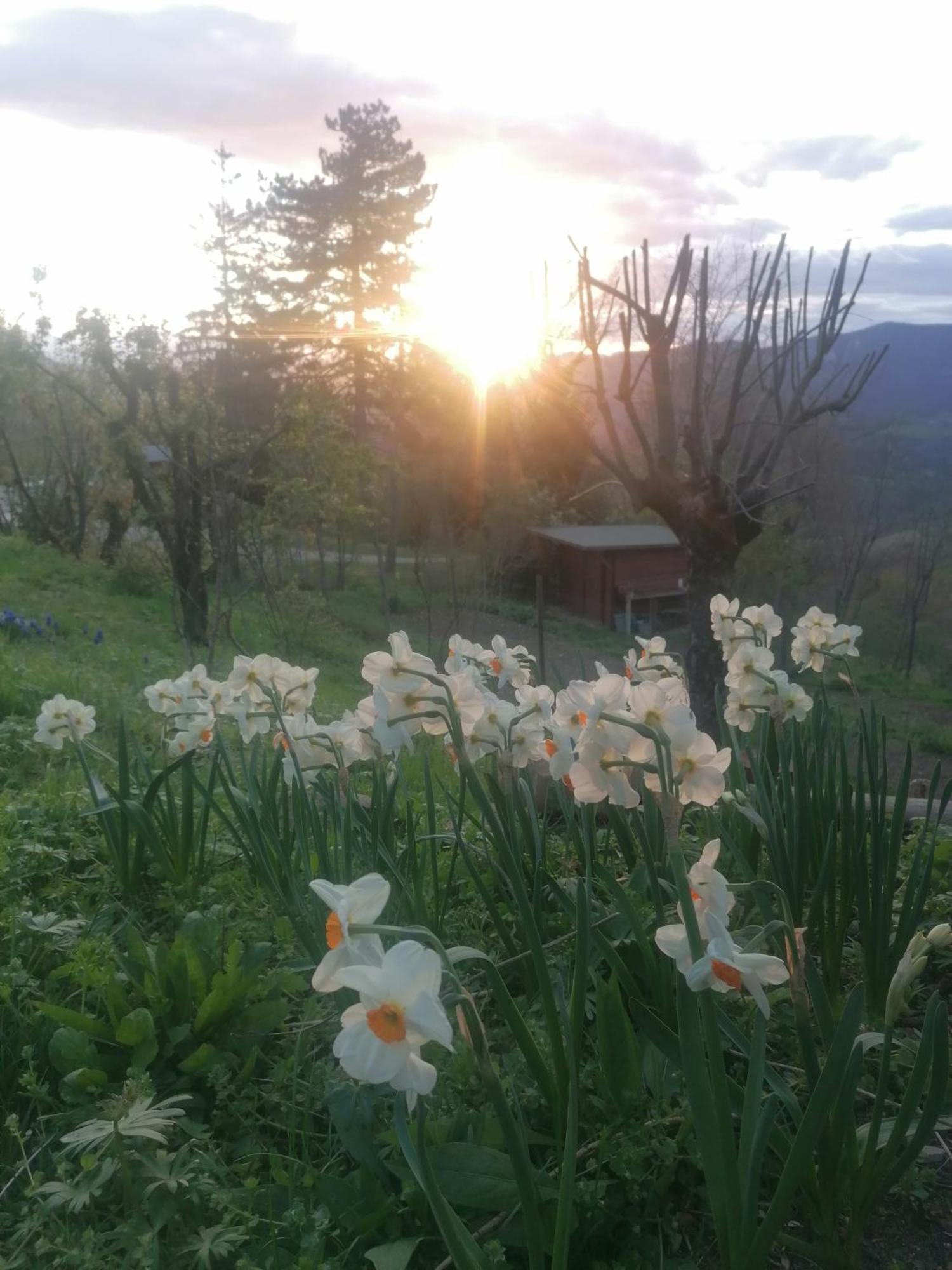 Ca' Dei Ste Bed & Breakfast Valle  Luaran gambar